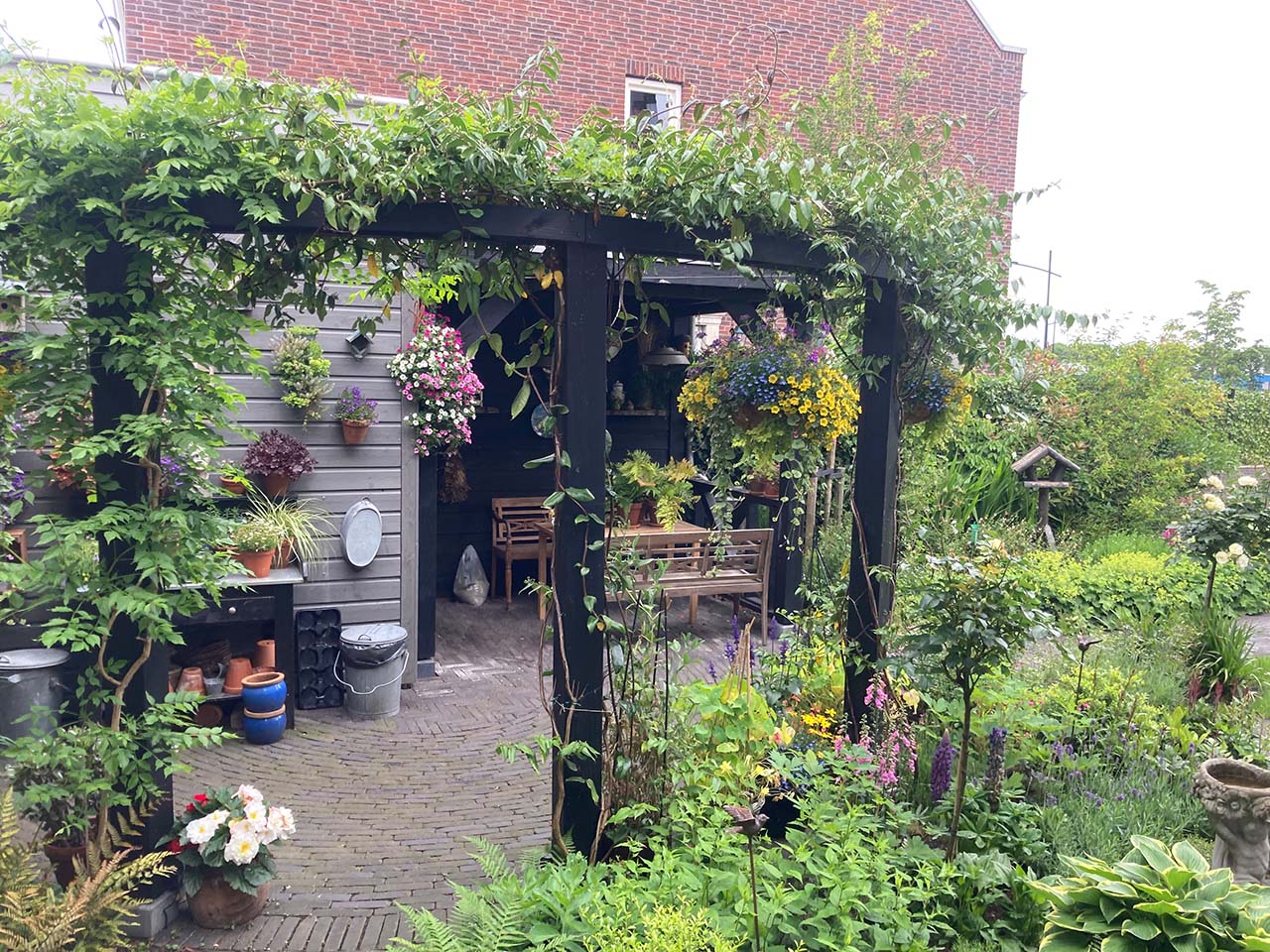 Pergola met beroeing